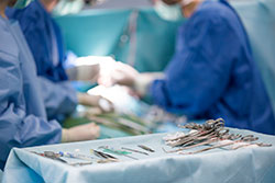 Rice Creek Animal Hospital - Pet Surgery